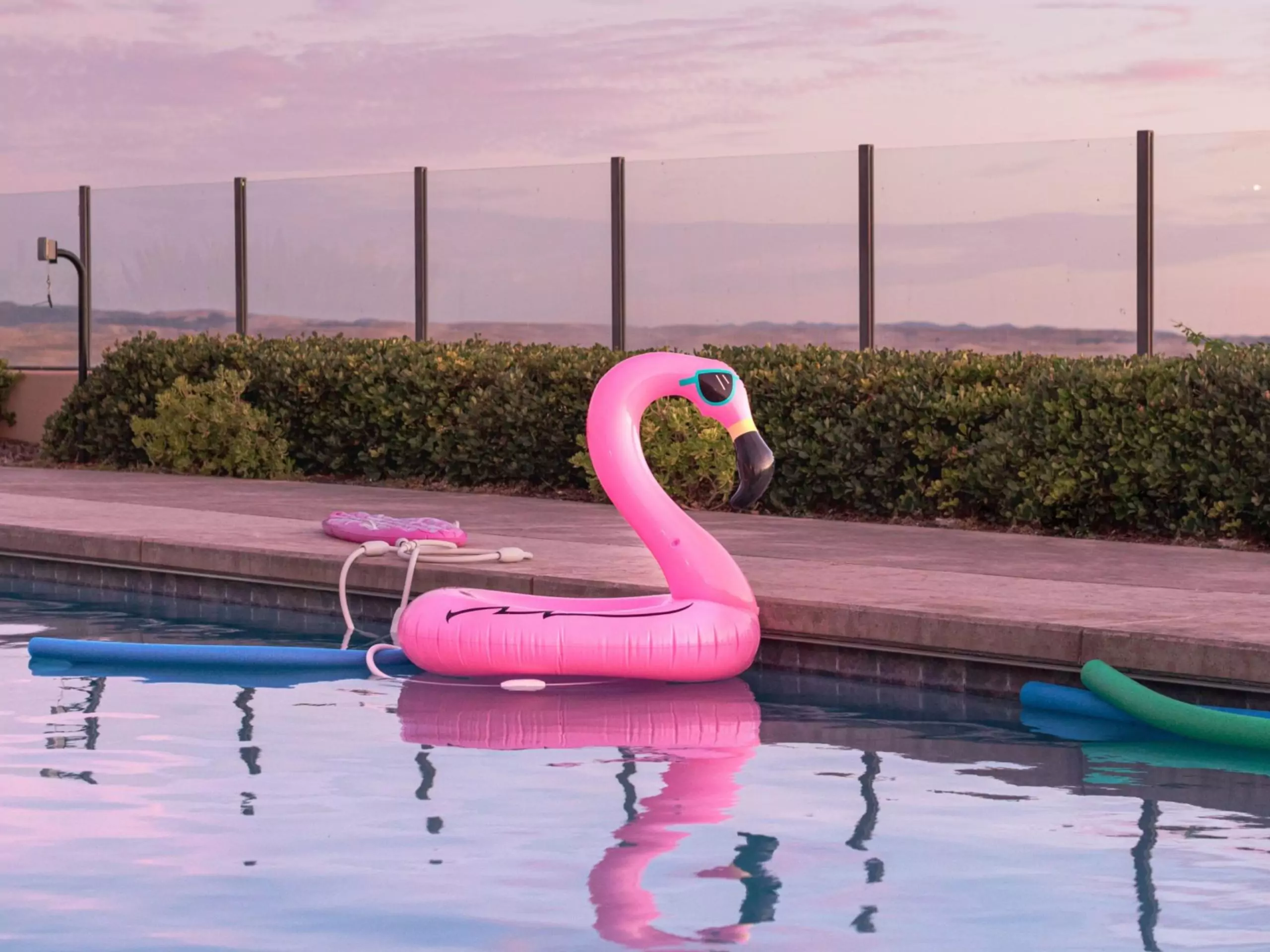 SummerToys heeft e-commerce ambities